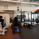 포레스트 다이어트 이미지