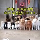 Ann Margret - Begin The Beguine 이미지