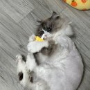폴리파크 | [Review] 폴리파크 , 베스트셀러체험패키지 후기
