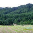 방동축사 이미지