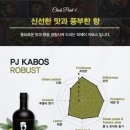 피제이엑스트라