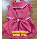 문화애견 이미지