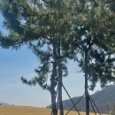 황산목장 이미지