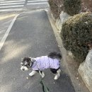 청라여성병원 | [육아일기] 청라여성병원 자연분만 후기 : 무통 주사 없이 초산모 17분 만에 순산한 리얼 스토리👶
