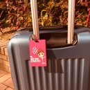 스포르토 이미지