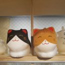 커피하우스융