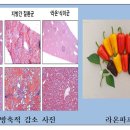 라온기술개발 이미지