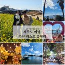 백록횟집 | [공지] 제주도 4박5일 여행코스 맛집 / 숙소 / 가볼만한곳 / 제주 관광지 추천 리스트 총정리 (feat...