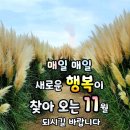 모유 단유에 엿기름 우린물?,? ㅜ 이미지