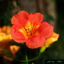 삼보여관 이미지