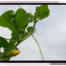 샘밭농장 이미지