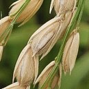 우보농장 이미지