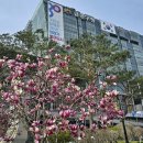 금천구청