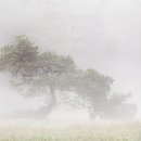 소나무정형외과의원 이미지