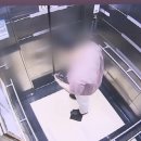 강정동-40 이미지