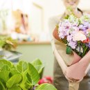 플로리스트 이미지