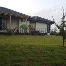 나른한 당근 이미지