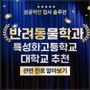 반려 이미지