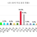 사파동155 이미지