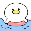 스위밍차일드 이미지