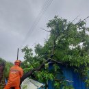 안성면105 이미지