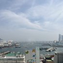 래디언트 남포 | 남포동 애견동반호텔 래디언트 남포 솔직후기