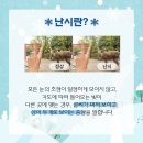 시야안경원 이미지