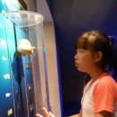 현산면사무소 이미지