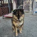 솔머리펜션 이미지