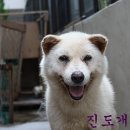 성웅 이미지