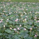 종점농장 이미지