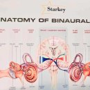 제주그랜드보청기 이미지