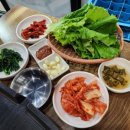 싱싱꼬기 이미지