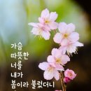 소금인형님 이미지