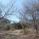 송전1리 이미지