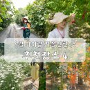 담산농장 | 6월에 놓치면 아쉬운 이색 체험과 카페 추천 5곳