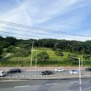 베이커리501 | 화성 융건릉 카페 시노퍼, 대형카페 찾는다면 여기! 케이크에 진심인 베이커리 브런치 맛집 단골 후기