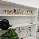 언니네 애견미용실 | 마곡 사진관 인포룸 스튜디오 마곡점 애견프로필 강아지 사진관 반려동물촬영