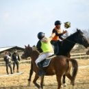 더케어팜 이미지