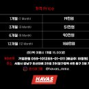 하바스MMA 압구정 이미지