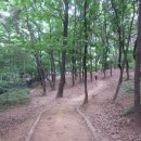 원터근린공원 이미지