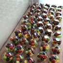 서가네 과일 야채 도소매 | 민생쿠폰 후기 망원시장 소비쿠폰 2차 신청 공모전 참여