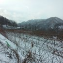 일출농장 이미지