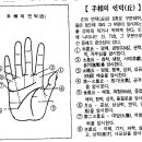 수상(手相)과 장래 운세[성패(成敗)의 판단법] 이미지