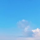 제주도파티게스트하우스틴더타운 이미지