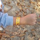 경강손두부 | 토요일 주차 후기, 남이섬 근처 아침식사 경강 손두부, 주말 남이섬 아이와 함께 다녀온 후기 (남이섬...