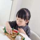 스마트캠퍼스 | 크레이지 캠퍼스 보드게임 후기 7세 아이 혼자 집중하는 퍼즐놀이 피크닉 추천템