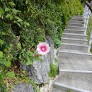 100세의료기 이미지