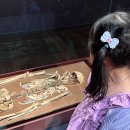2025 광주 어린이 상상극장 <나무의 아이> | 광주 아이랑 여행, 광주국립박물관, 광주식품대전, 광주시립미술관