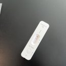 보람의집 | 울산 자궁근종 복강경수술 보람병원 준비물 및 후기 꿀팁